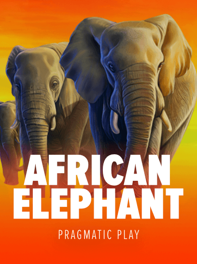 pragmatic-play-african-elephant